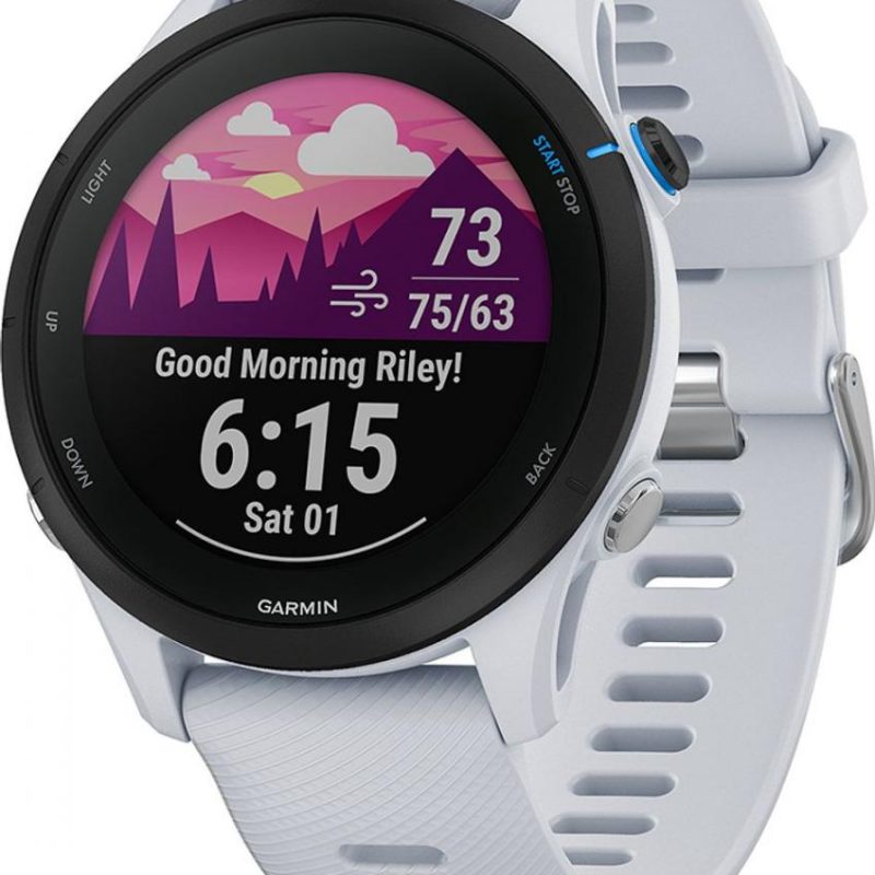 Ceas Garmin Forerunner 255, display 33mm, rezolutie displat 260x260 conectivitate