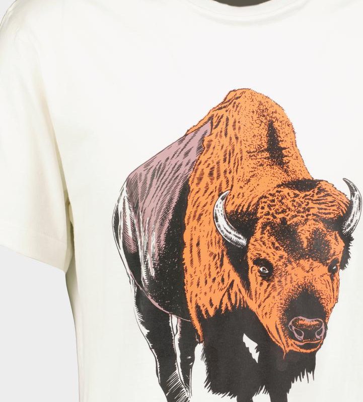 TRICOU ZIMBRU S